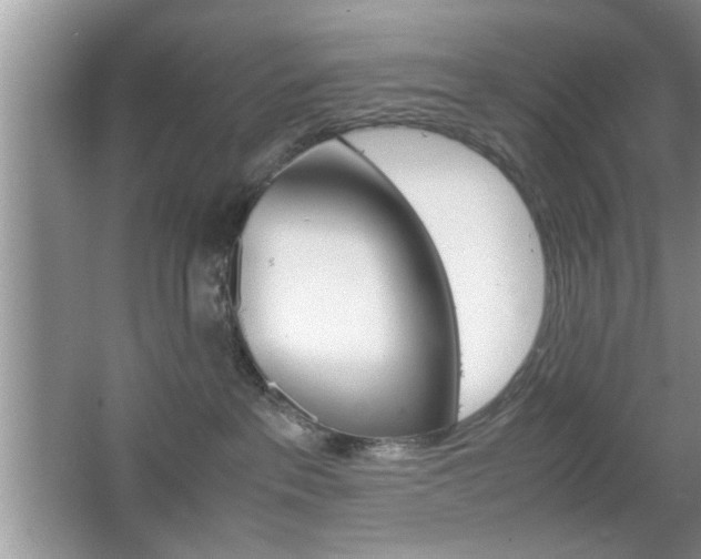 X0000067870237200604131023