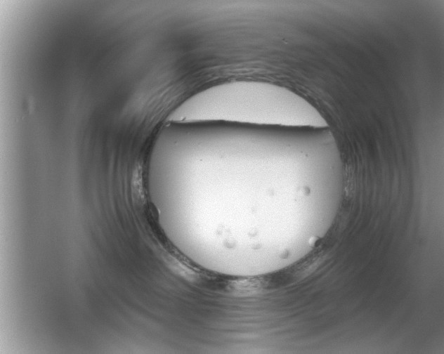 X0000067870238200604131023