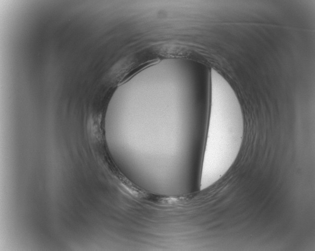 X0000067870239200604131023