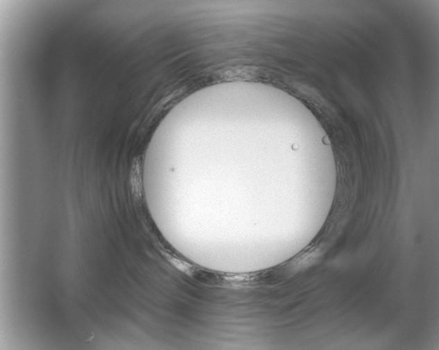 X0000067870240200604131023