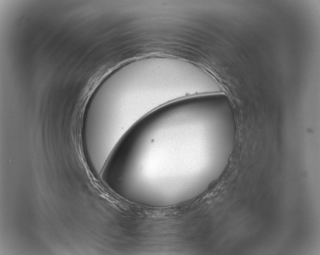 X0000067870241200604131022