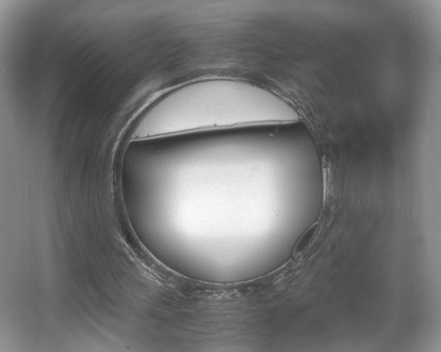 X0000067870243200604131022