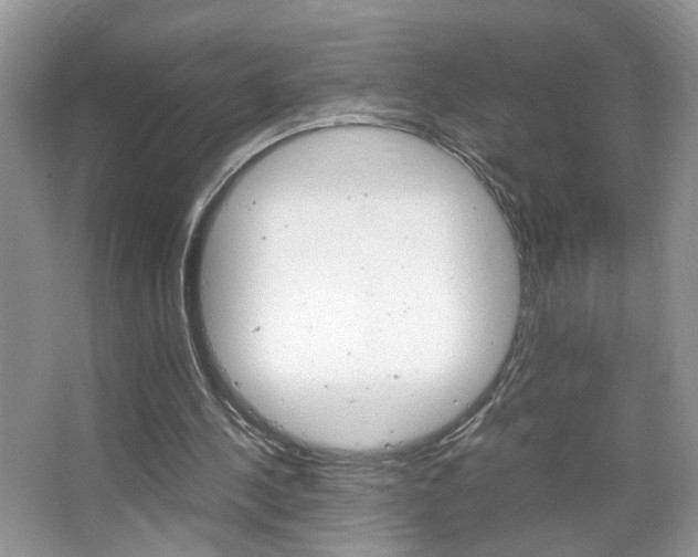 X0000067870244200604131022