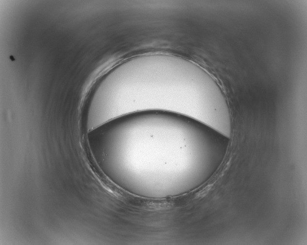 X0000067870245200604131022