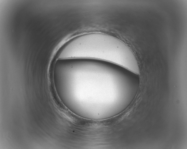 X0000067870246200604131022