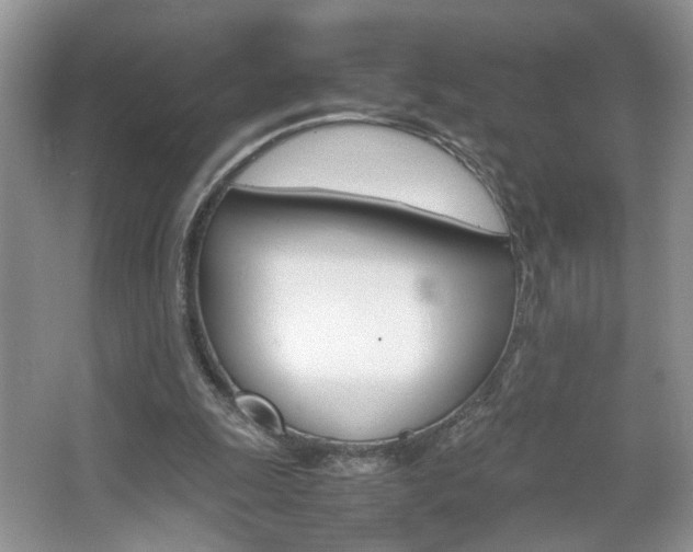 X0000067870247200604131022