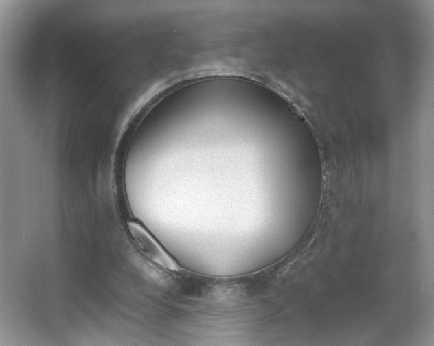 X0000067870248200604131022