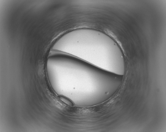 X0000067870249200604131022