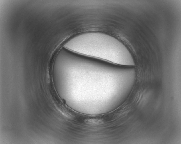 X0000067870251200604131022