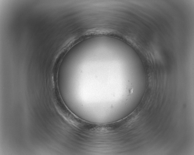 X0000067870254200604131022