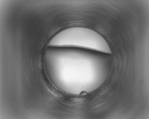 X0000067870255200604131022