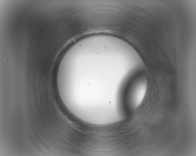 X0000067870256200604131022