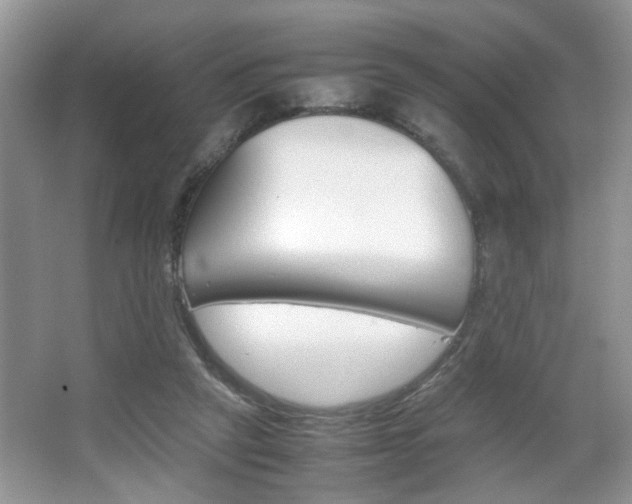 X0000067870257200604131022