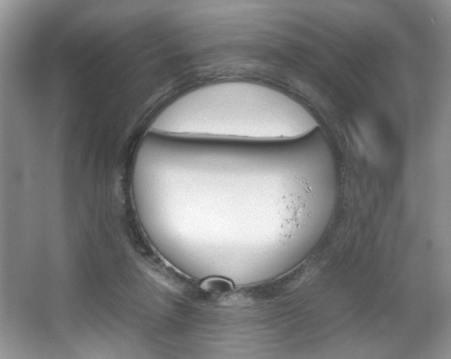 X0000067870258200604131022