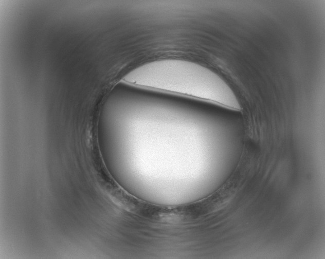 X0000067870259200604131022