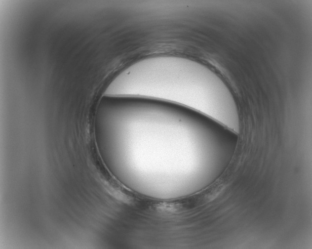 X0000067870261200604131022