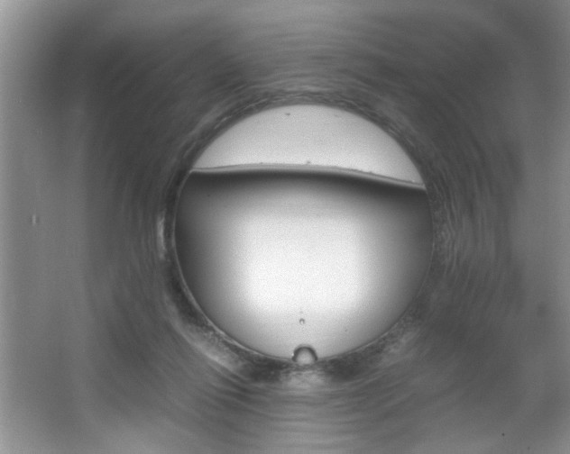 X0000067870262200604131022