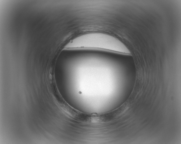 X0000067870264200604131022