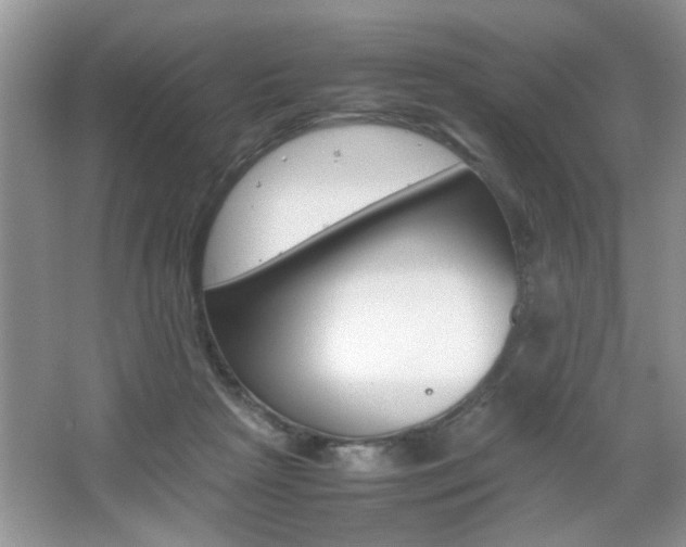 X0000067870265200604131022