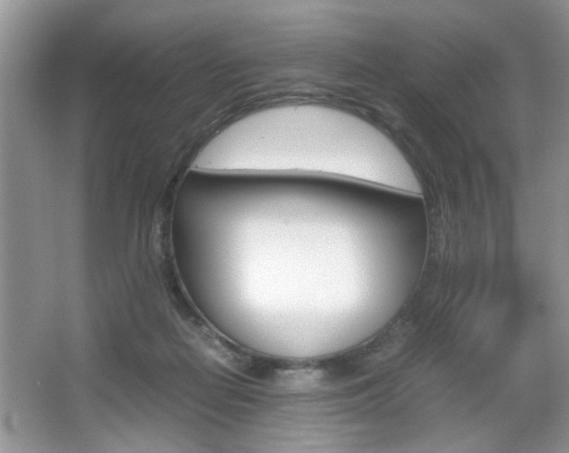 X0000067870266200604131022