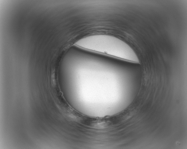 X0000067870267200604131022