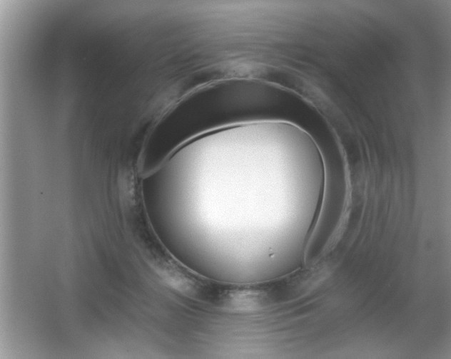 X0000067870268200604131022