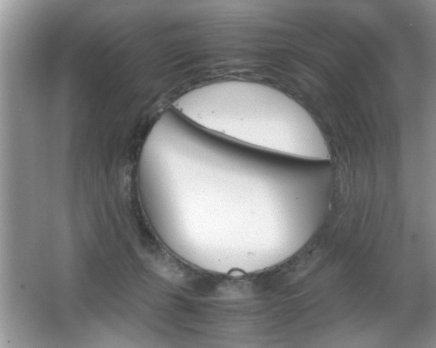 X0000067870271200604131022