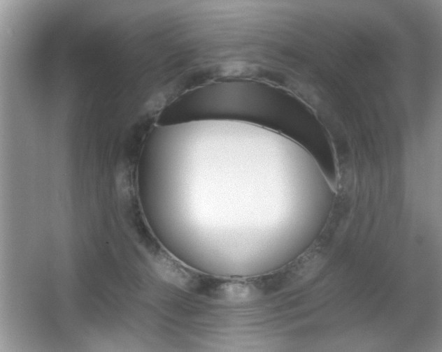 X0000067870272200604131022