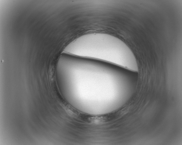 X0000067870273200604131022