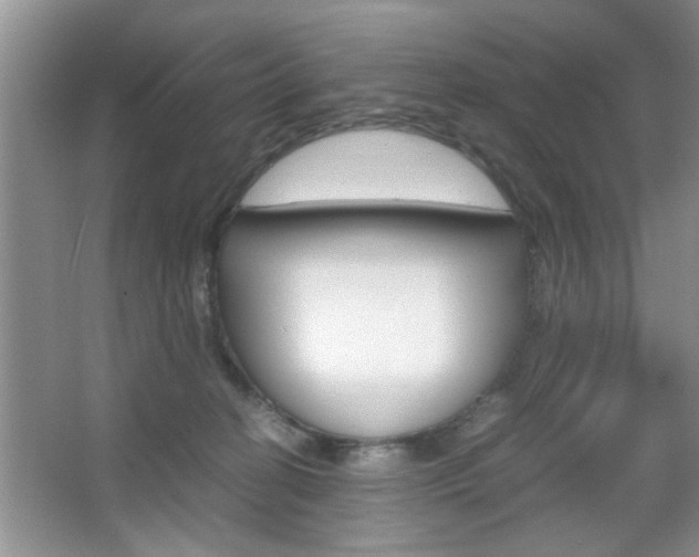 X0000067870274200604131022