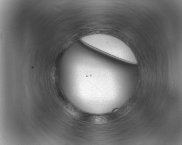 X0000067870275200604131022