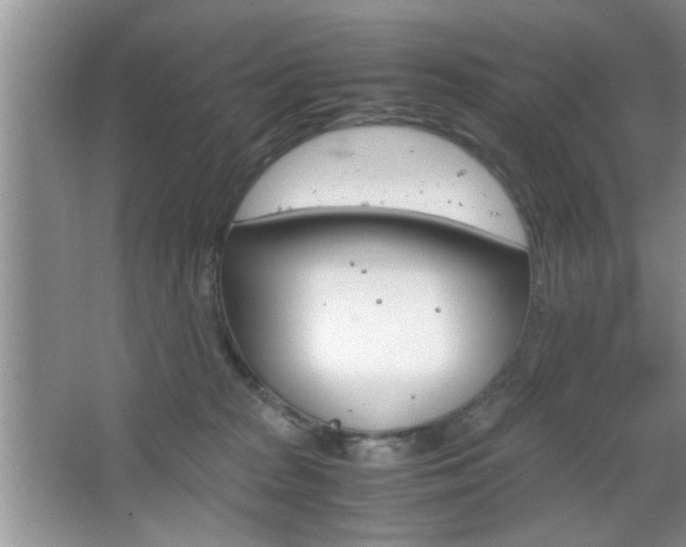 X0000067870277200604131022