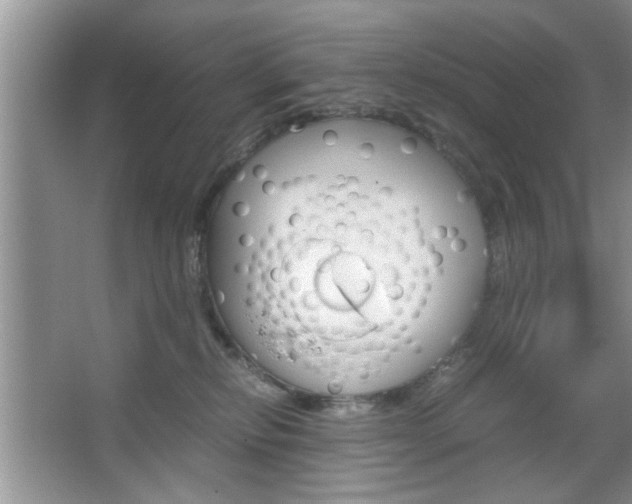 X0000067870278200604131022