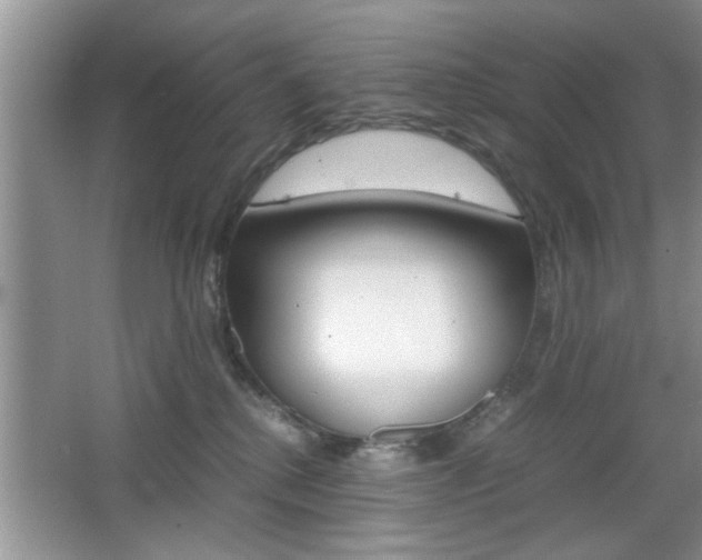 X0000067870280200604131022