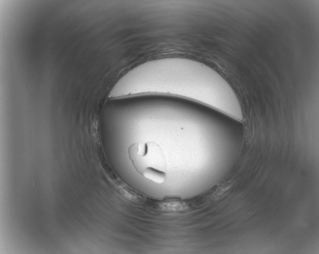 X0000067870281200604131022