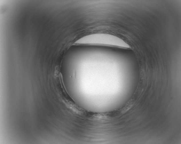 X0000067870284200604131023