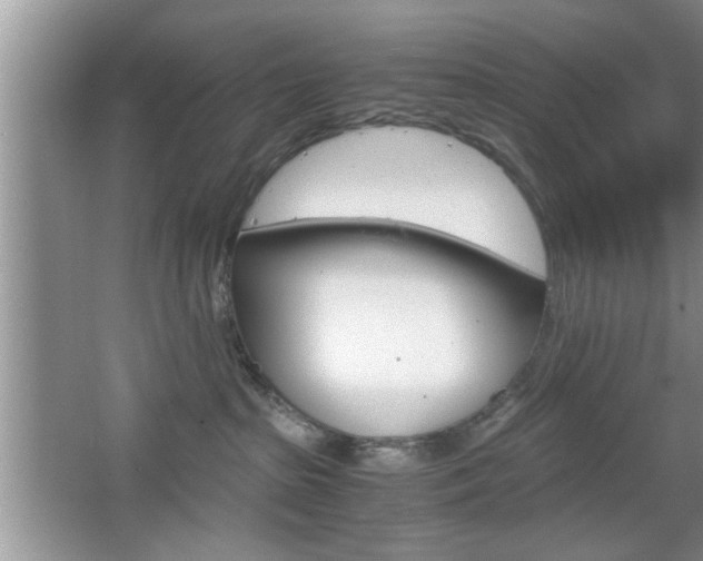 X0000067870285200604131023