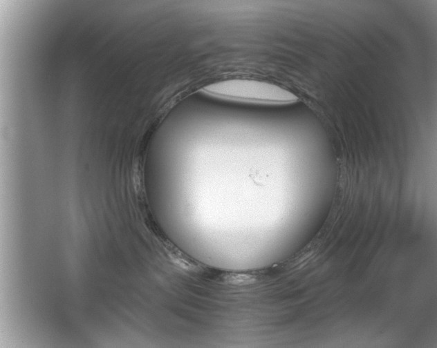 X0000067870287200604131023