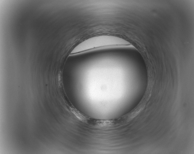 X0000067870288200604131023