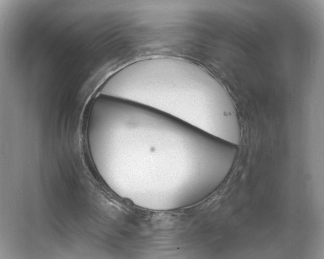 X0000067870290200604131022