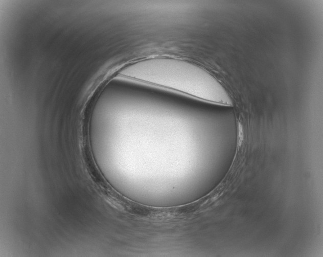 X0000067870291200604131022