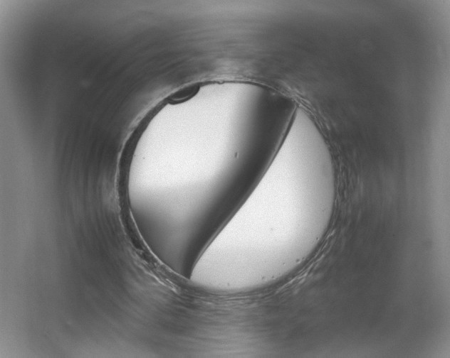 X0000067870292200604131022