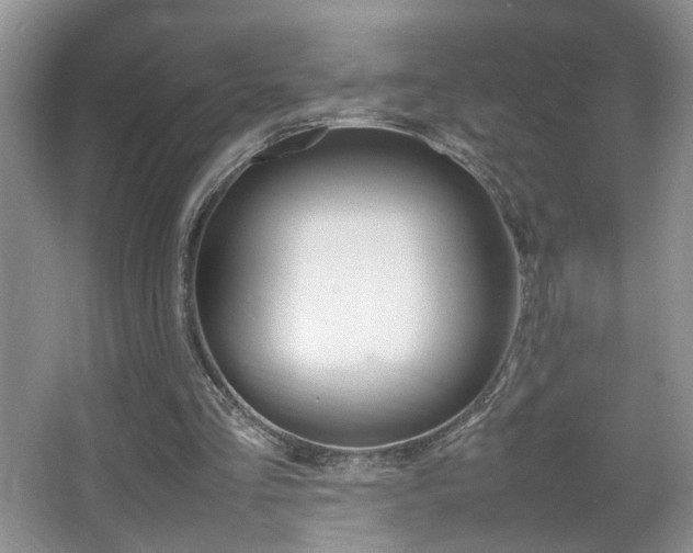 X0000067870293200604131022