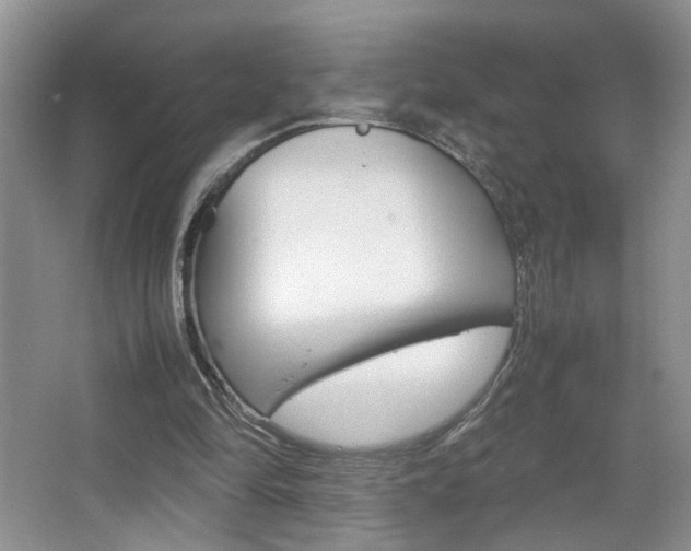 X0000067870294200604131022