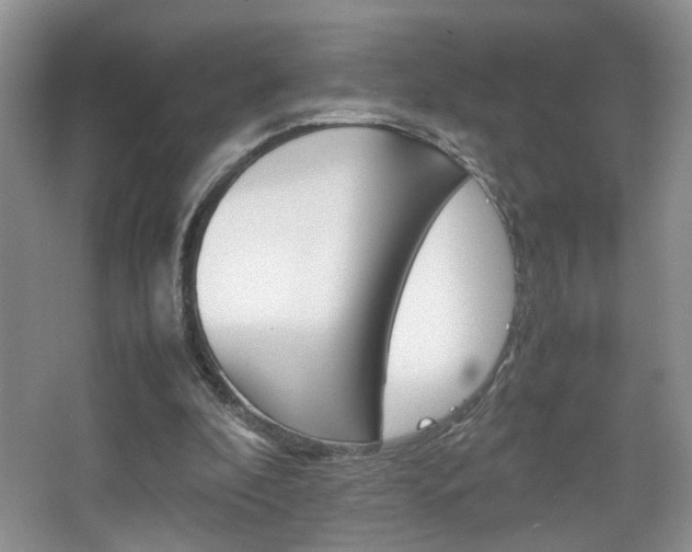 X0000067870296200604131022