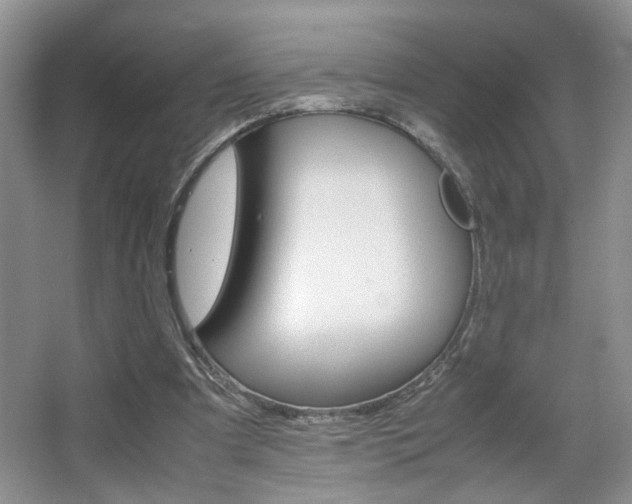 X0000067870297200604131022