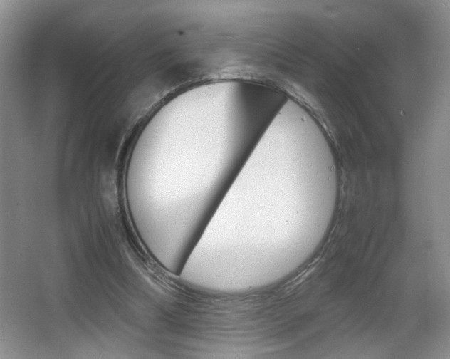 X0000067870298200604131022