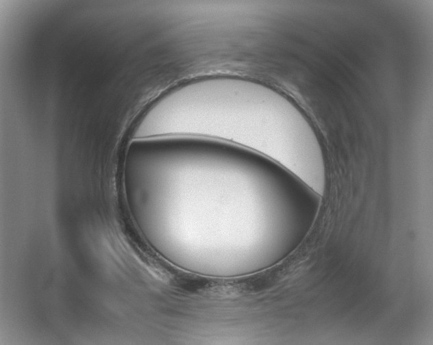 X0000067870299200604131022