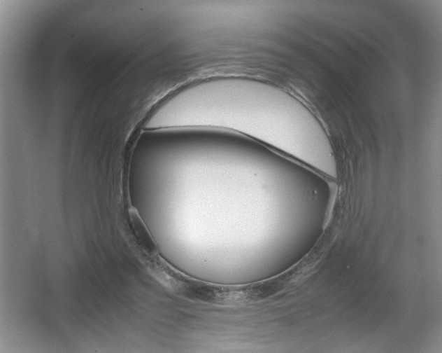 X0000067870301200604131022