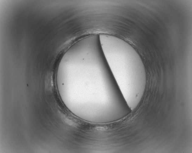 X0000067870302200604131022